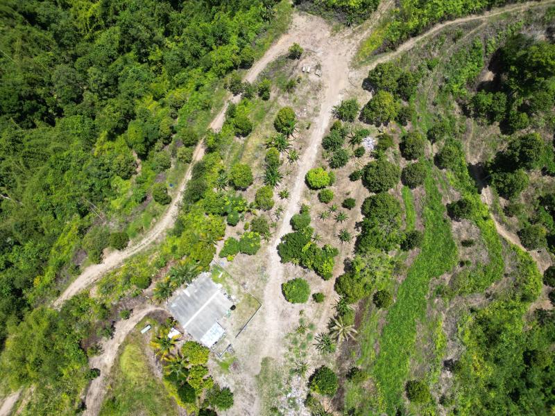 Below Market Price, Karak/Bentong Durian Farm. only less than RM 150k per acre.