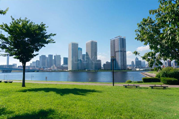 Sunway Geolake Townhouse, South Quay | Well Maintained, Tastefully Renovated, Low Density Lake View Residence